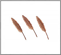 Quill Feathers vintage die-cut Dresden copper paper foil trims