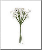 link to White Baby's Breath millinery flowers