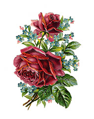 Raphael Tuck & Sons antique Victorian red roses die-cut scrap picture
