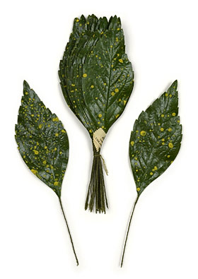 Speckled Aucuba Leaves made in Germany - USSR Occupied