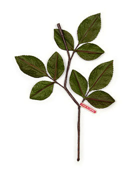 Large Tiege Rose Leaf Branchlet vintage fabric leaves from Japan