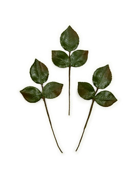 Tea Rose Leaf Sprigs vintage fabric leaves from Germany